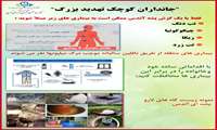 بیماری های منتقله توسط ناقل مهاجم پشه آئدس